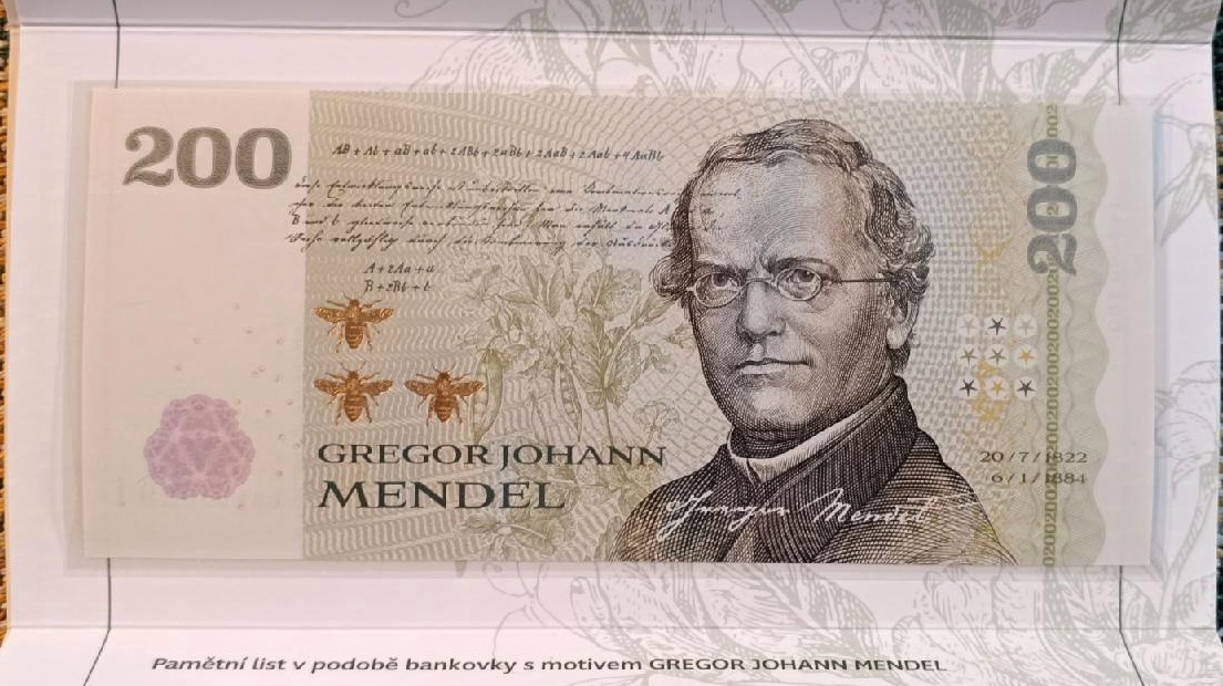 SPECIÁLNÍ NABÍDKA -tisky + OLYMPSPORT