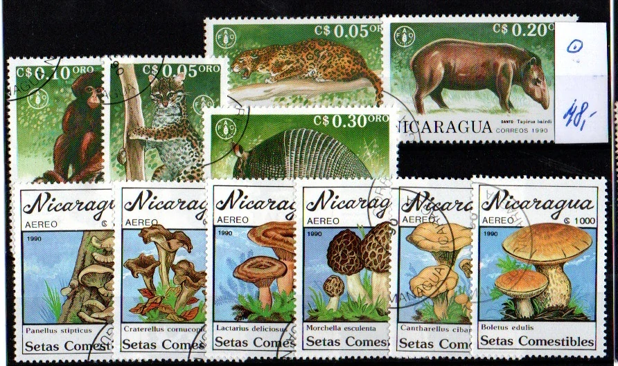 5809 Nikaragua, příroda, o