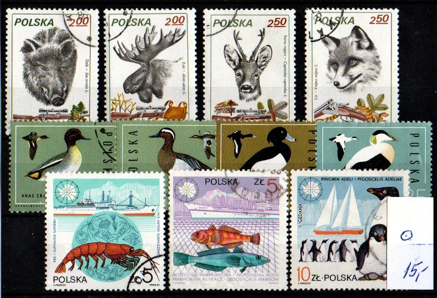 6040 Polsko, příroda, o