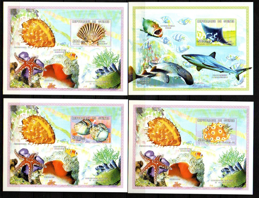 5266 Guinea, příroda,  xx