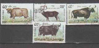 2778 Laos,  skot,  o