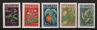 3405 Vietnam,  rostliny,  xx