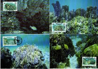 5227 Tuvalu, CM pro WWF