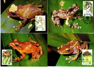 5225 FIJI, CM, WWF