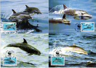 5222 Niue, CM - WWF