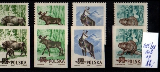 5321 Polsko, příroda, xx