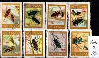 5299 Vietnam, brouci, o