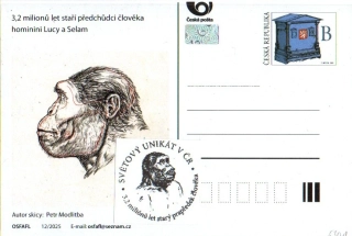 5301 ČR, Výstava Lucy a Selam