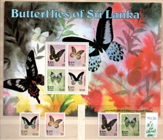 5451 Srí Lanka, motýli, xx