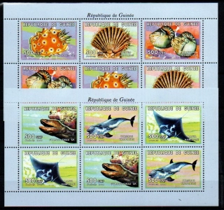 5566 Guinea, TL moře,  xx