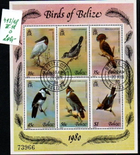 5674 Belize, aršík ptáci, o